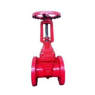 Ductile iron ANSI 150LB rising stem gate valve 