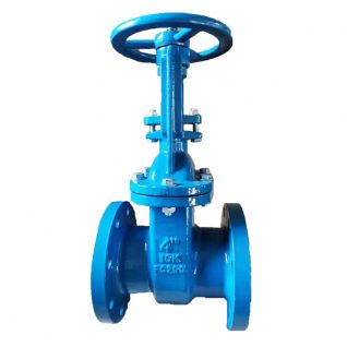 Ductile iron 4 inch rising stem gate valve JIS10K