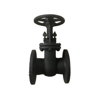  Z44T-10/Z41T-16C gost gray cast iron gate valve 